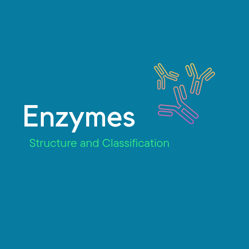 emzymes Image